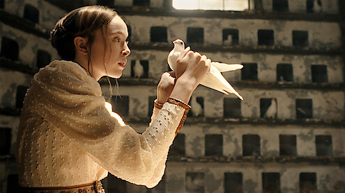 Young woman in a vintage dress gently holding a white dove inside a sunlit aviary with birdhouses on the walls in the background.