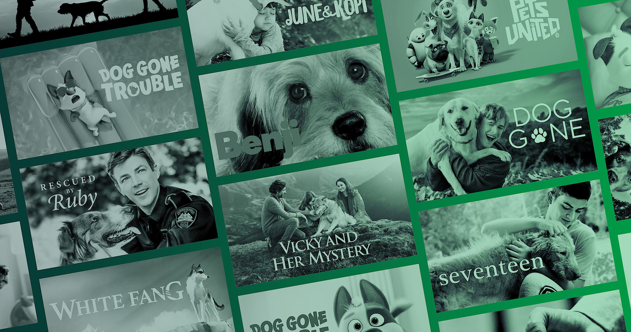 9 Best Dog Movies on Netflix