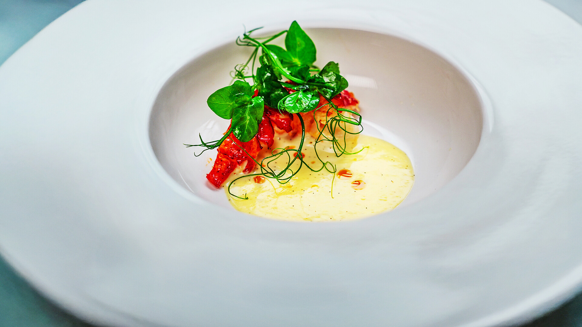 Next Gen Chef - A photo of a beautiful meal 