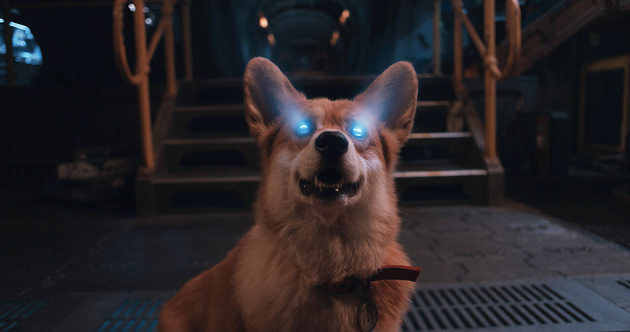 Spike Spiegel Receives an Interesting Message | Cowboy Bebop S1E8