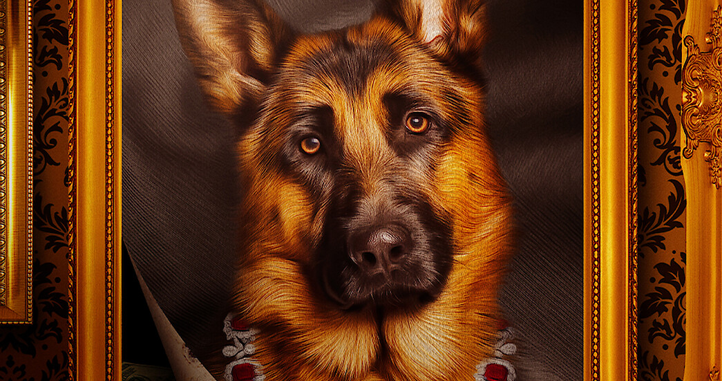 1045px x 551px - Gunther's Millions Dog Documentary Trailer, Release Date, News - Netflix  Tudum