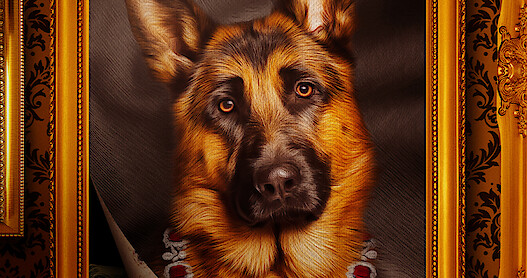 ‘Gunther's Millions’ Main Trailer