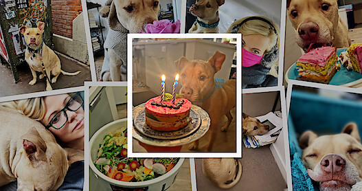 Where Is Leon from ‘Bad Vegan’ Now? Hero Image