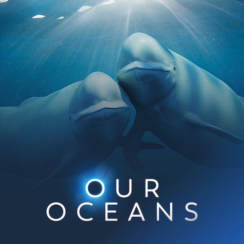 Our Oceans