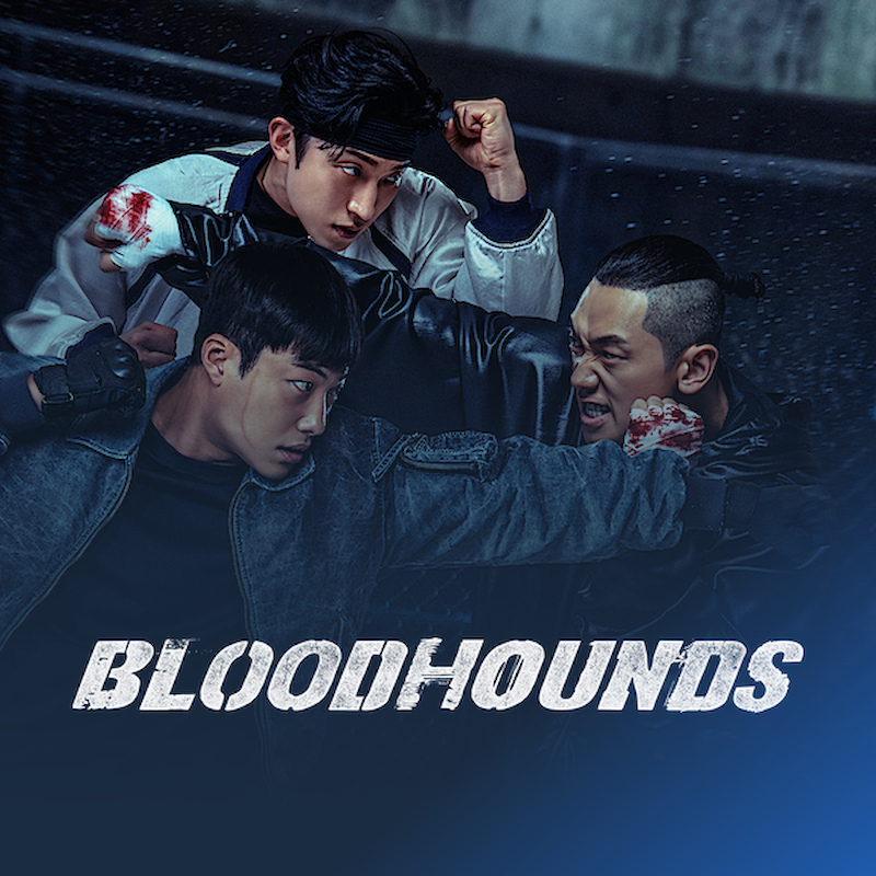 Bloodhounds (사냥개들)