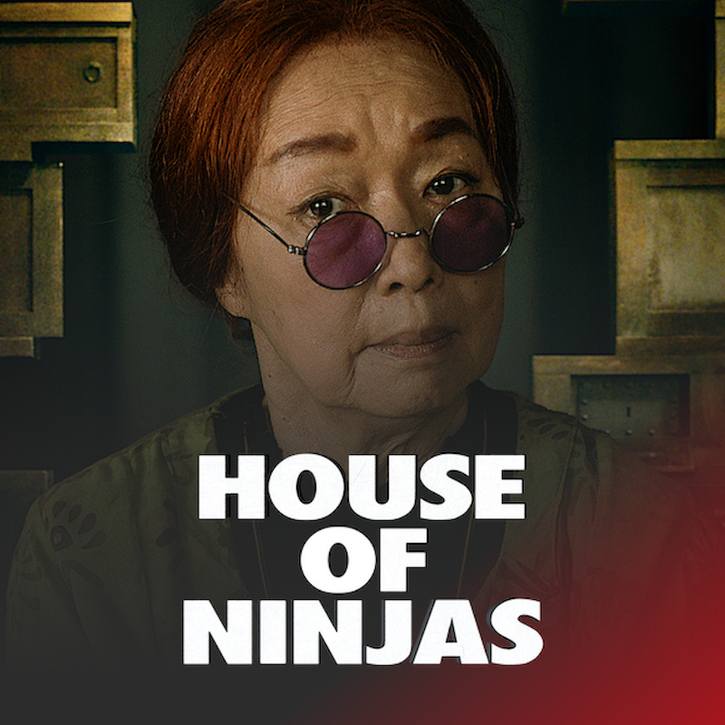 House of Ninjas