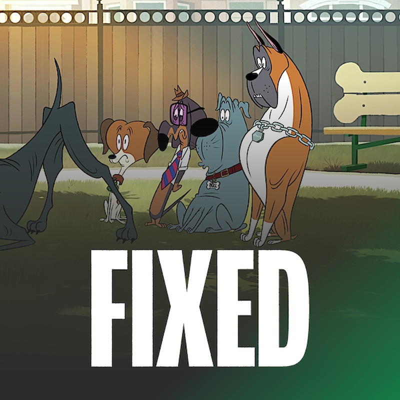Fixed 