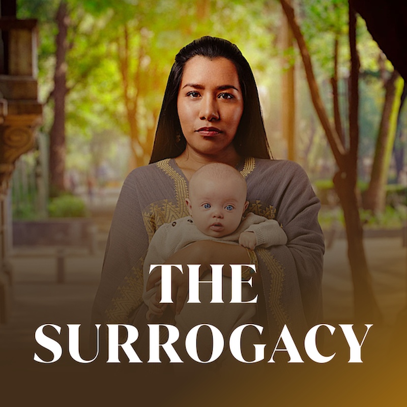 The Surrogacy (Madre de alquiler)