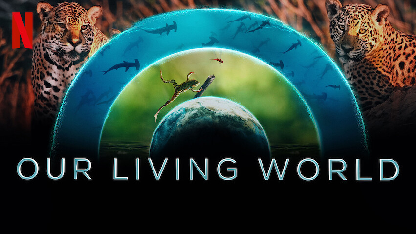 Nuestro mundo lleno de vida: Miniserie