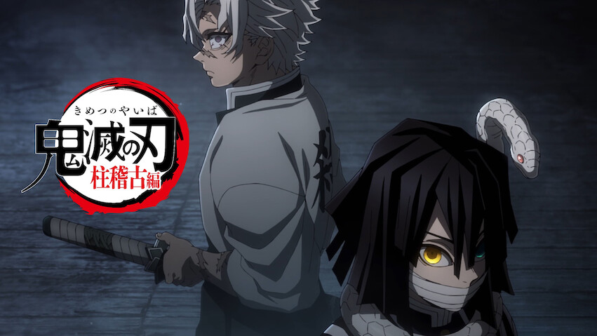 Demon Slayer: Kimetsu no Yaiba: Hashira Training Arc