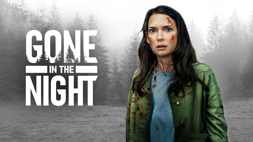 Top 10 Most Popular Movies on Netflix in Finland