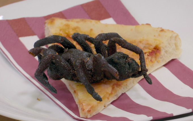 A Wolf in the Eagle's Nest