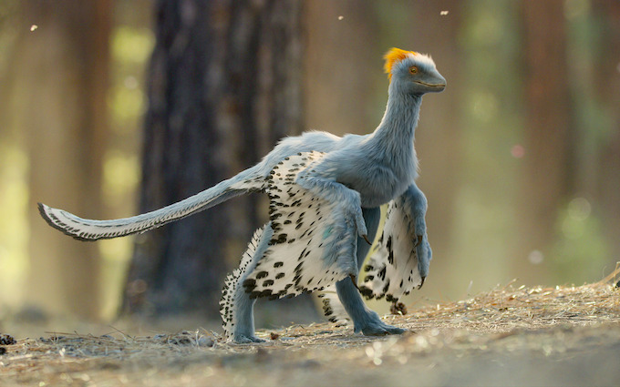 Chapter 6: Out of the Ashes