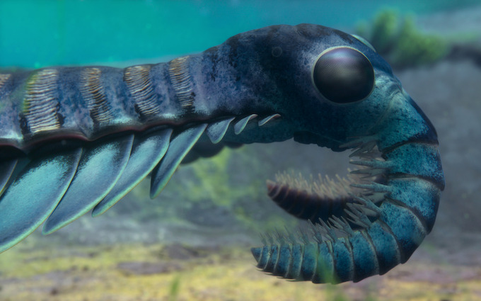 Chapter 2: The First Frontier