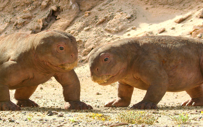 Chapter 4: In Cold Blood