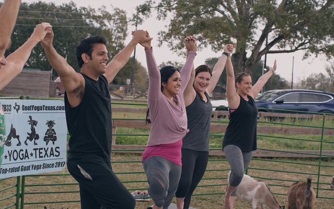 Take the Elephant out of the Room