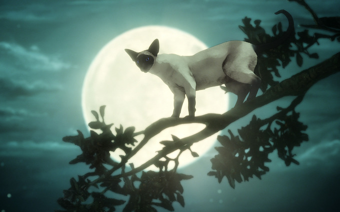 A Special Episode - Dream of a Thousand Cats/Calliope