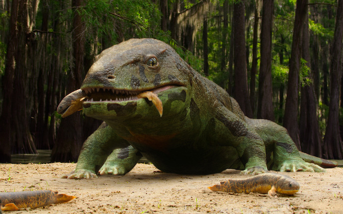 Chapter 1: The Rules of Life