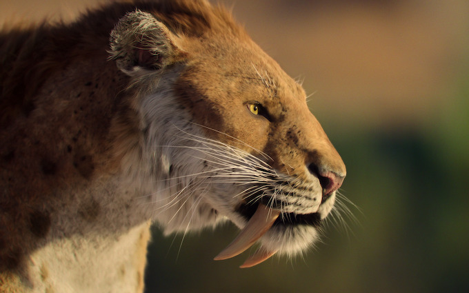 Chapter 7: Inheriting the Earth