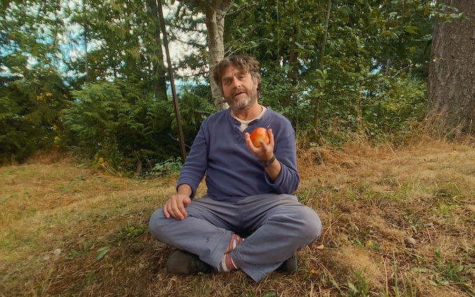 Apples