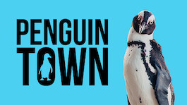 Penguin Town