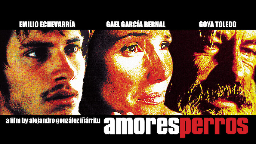 Amores perros