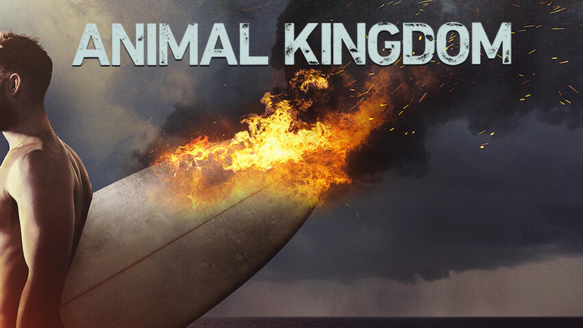Animal Kingdom: Temporada 6