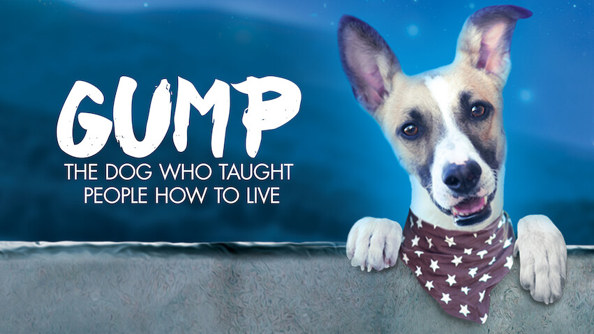 Gump – The Dog Who Taught People How to Live