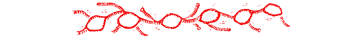 Divisor linfático