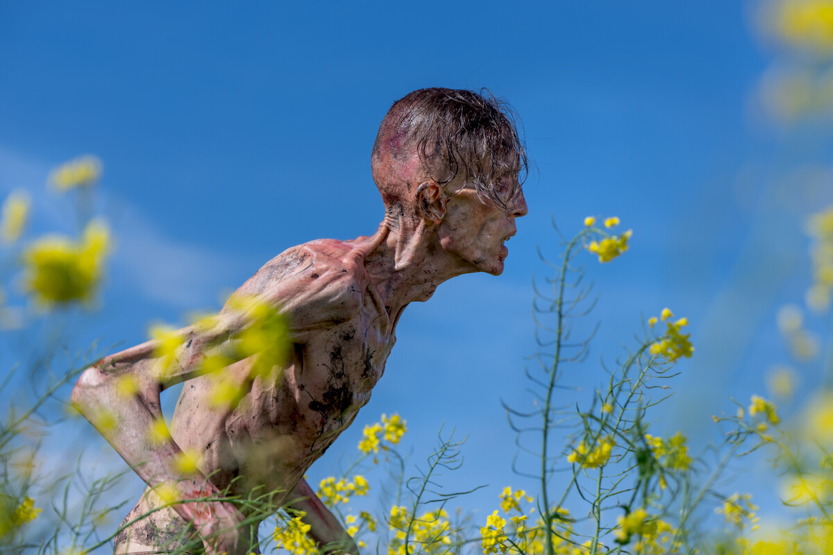 Emaciated, zombie-like figure with decayed skin standing among tall yellow wildflowers under a clear blue sky.