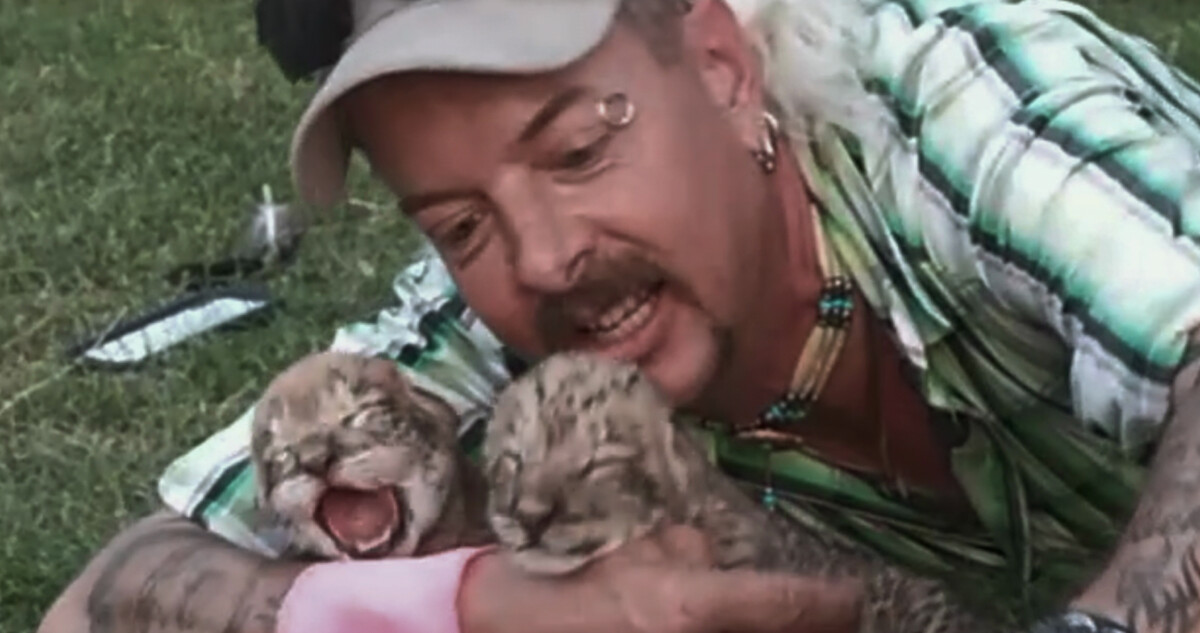 Why Are Some People Addicted to Exotic Animals?
