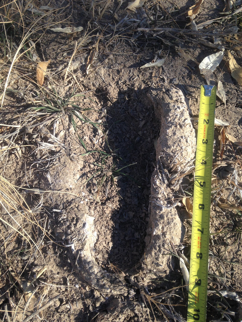 A deep footprint found in dried mud, provided by Brenda Harris. - Evidence of Bigfoot