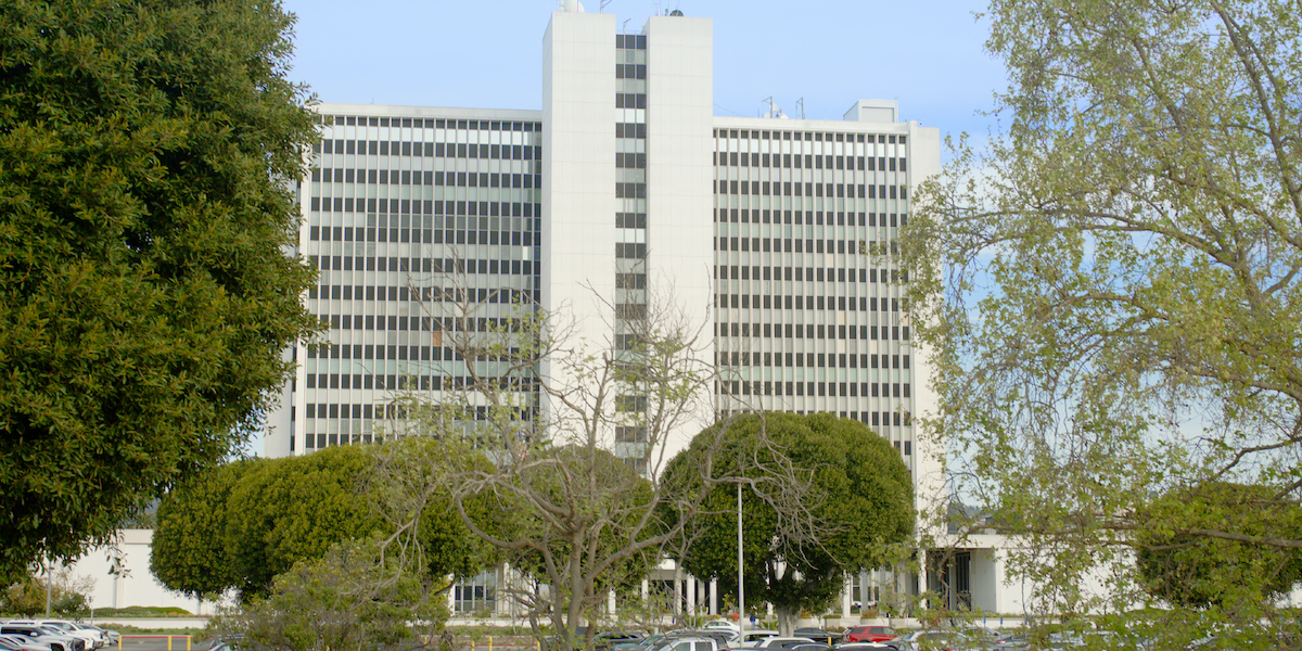 Tall modern office building with glass windows and multiple floors, surrounded by large green trees and a parking lot with cars, under a clear sky.
