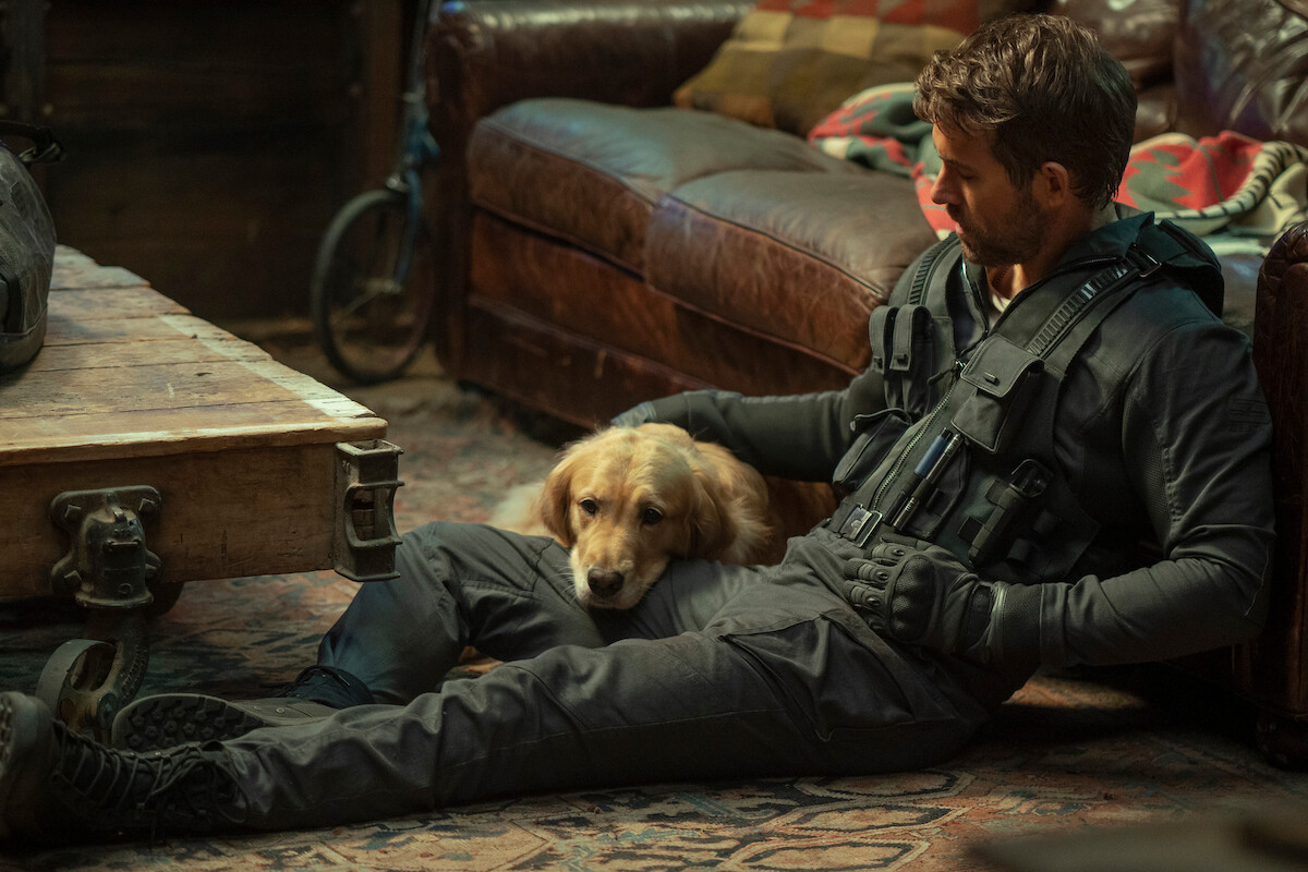 We Answered All Your Burning Questions About ‘The Adam Project’