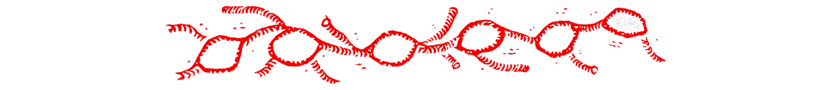 Divisor linfático