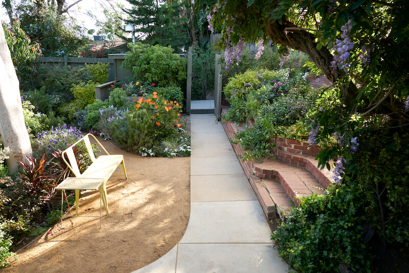 Lush garden surrounding a walkway.