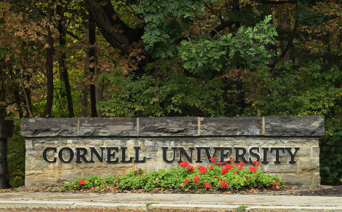 Cornell University stone entrance sign with red flowers in front, surrounded by dense green trees in a natural outdoor campus setting.