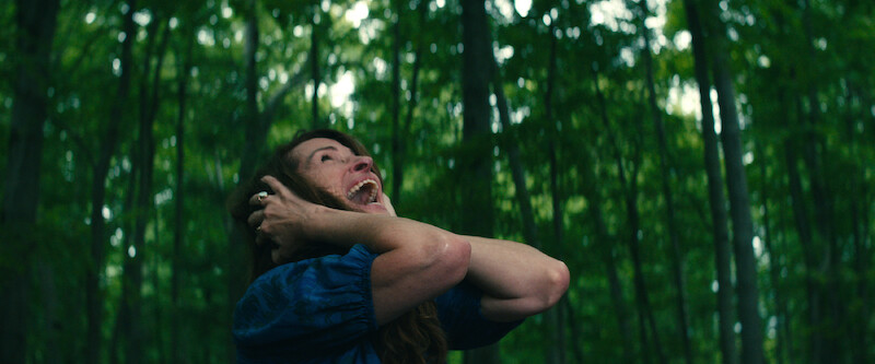  Julia Roberts as Amanda screaming in a forest. 