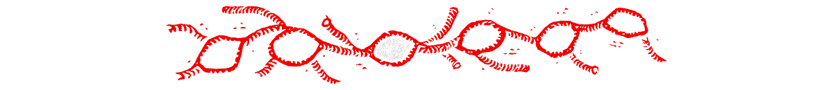 Divisor linfático