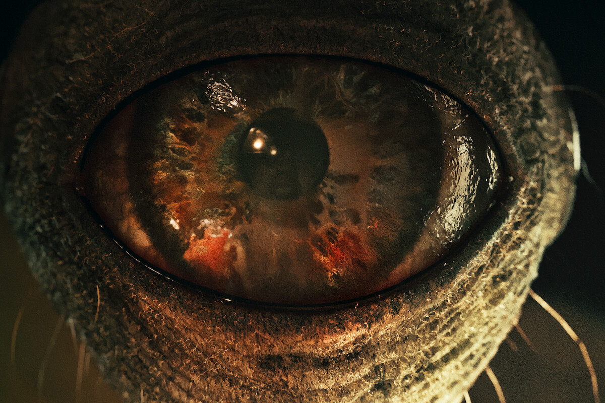 A monster’s eye in a still image from ‘Sweet Home’ Season 2