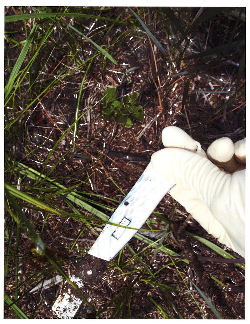 Another view of the knife found near the scene.  -  ‘Unsolved Mysteries’ Episode 1: Roadside clues