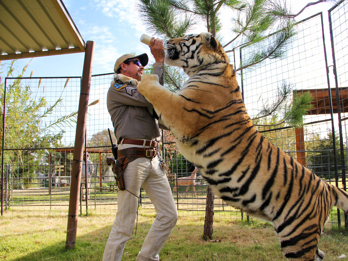 Inline image 6: This Is Why We Love Outrageous Stories like ‘Tiger King’ 