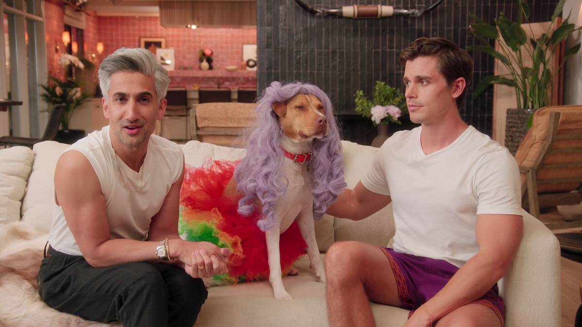 A Pawsitively Perfect Introduction