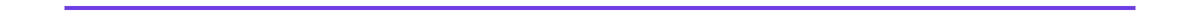 Purple divider line