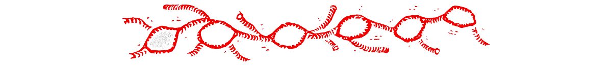 Divisor linfático