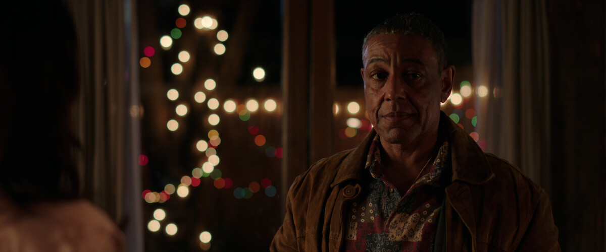 Giancarlo in front of Christmas lights.