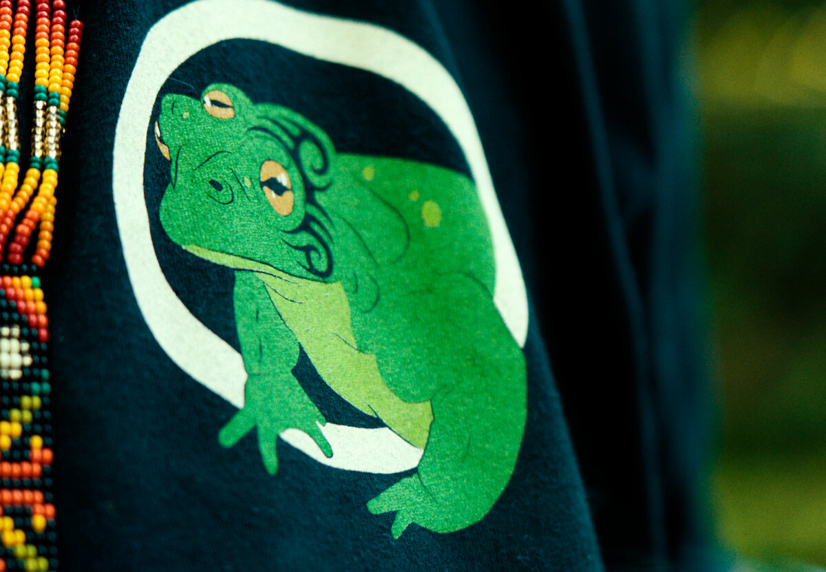 Imagem em close mostra um sapo verde com três olhos estampado em um pano preto