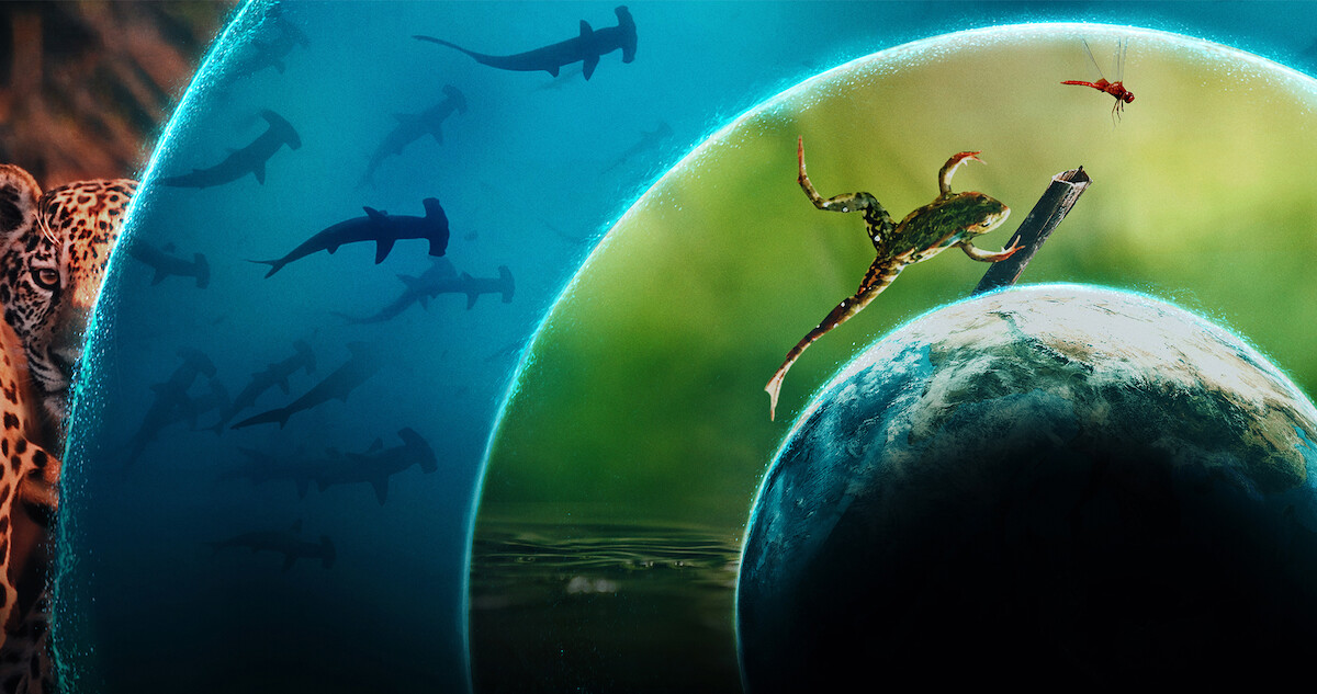 Scenes from 'Our Living World'