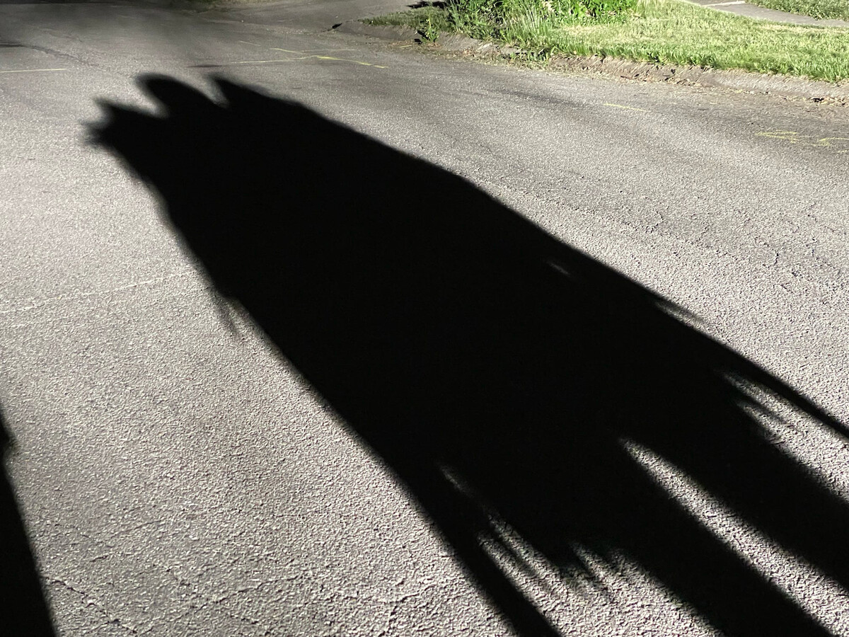 The shadow of The Mothman created by the ‘Unsolved Mysteries’ crew.