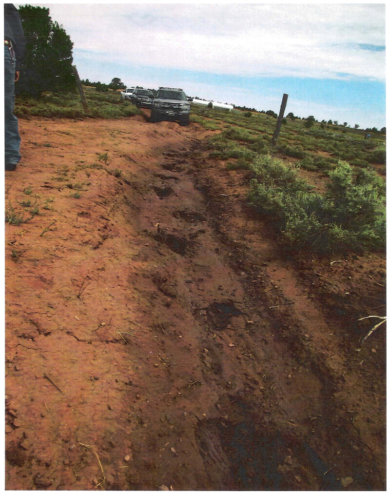 Complete Bigfoot tracks in the mud, provided by Brenda Harris. - Evidence of Bigfoot